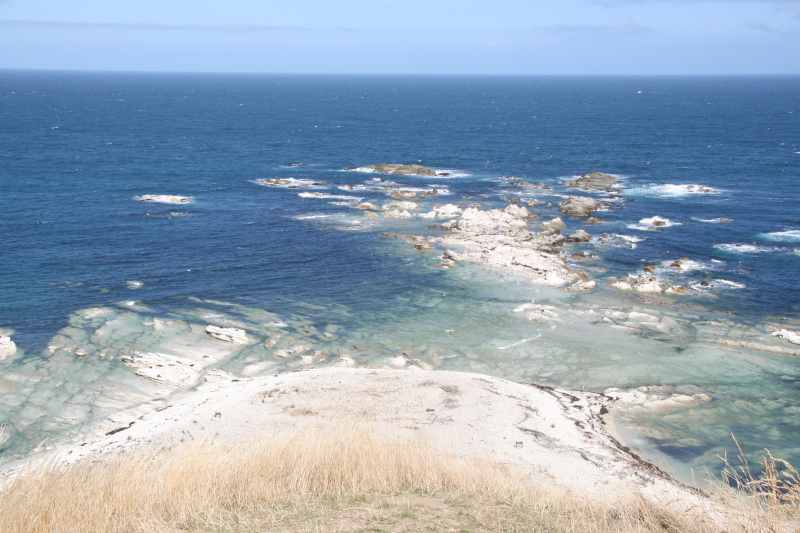 Nieuw-Zeeland 2011 - 1141